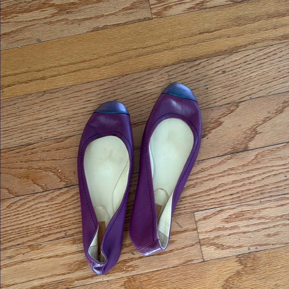 Reed Krakoff Purple and Blue Flats